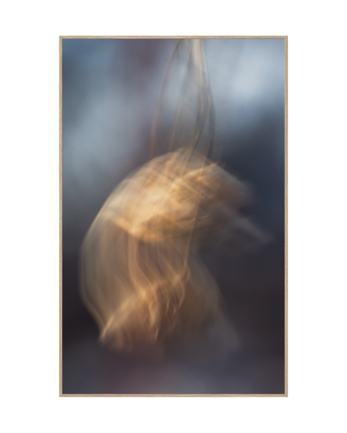 Beschwingt – Bild 3